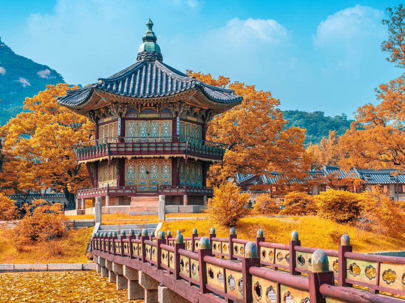 SEOUL – NAMI – N TOWER